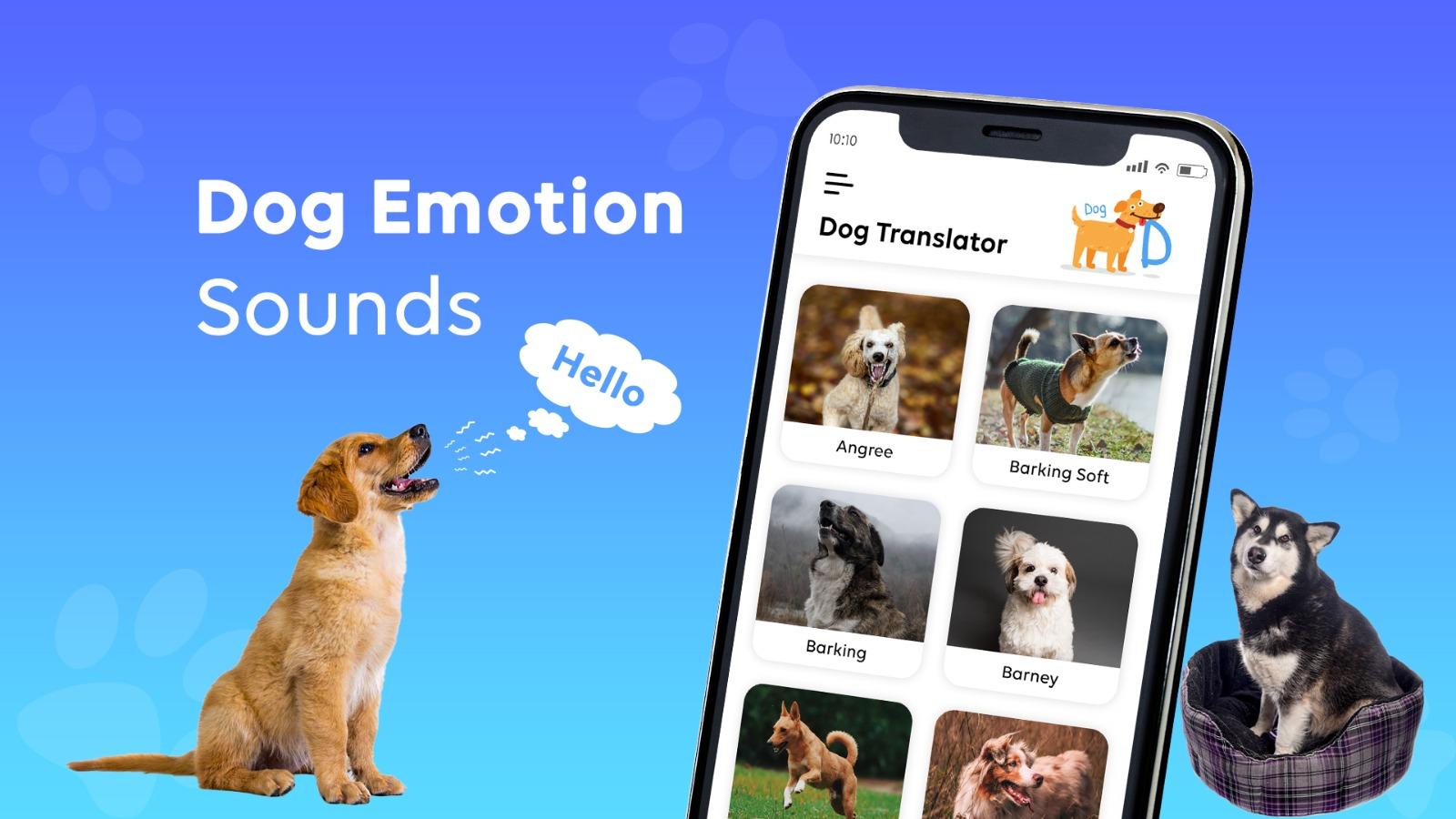 2025's Must-Have Tool for Dog Owners: Why DogTok Dominates? (APK Download Guide & Technical Analysis)