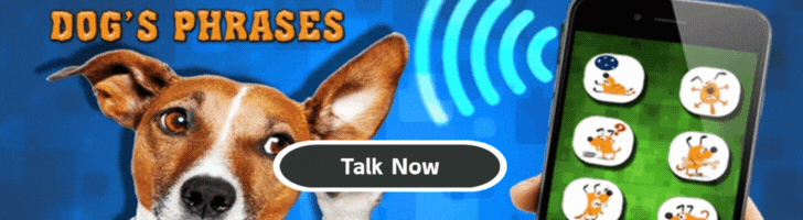 🐶 犬の翻訳機: あなたの犬は本当に何を言いたいのか？