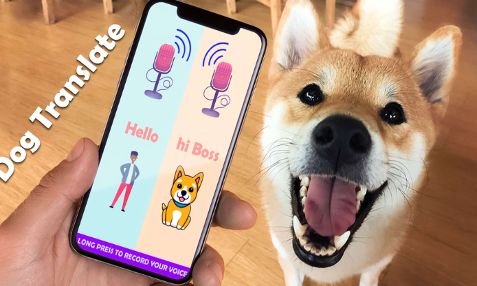 🐶 犬の翻訳機: あなたの犬は本当に何を言いたいのか？