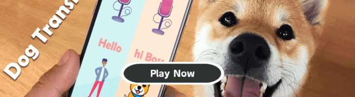 🐶 犬の翻訳機: あなたの犬は本当に何を言いたいのか？