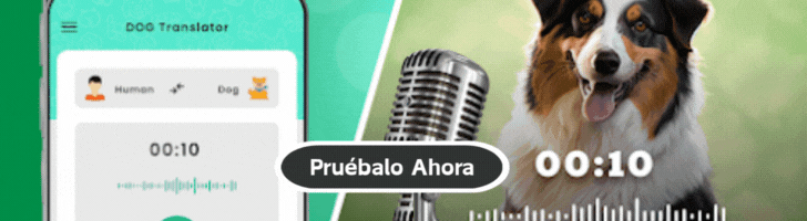 🐶 Traductor de perros: ¿Qué está intentando decir realmente tu perro?
