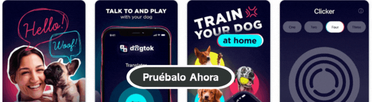 🐶 Traductor de perros: ¿Qué está intentando decir realmente tu perro?
