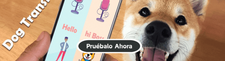 🐶 Traductor de perros: ¿Qué está intentando decir realmente tu perro?