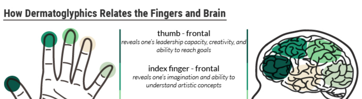 🧬 What Does Your Fingerprint Say About Your Personality?