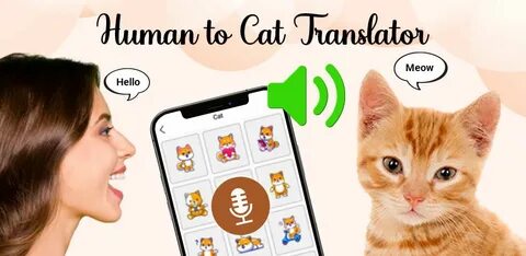 How To Use CatTranslator - Cat To Human App To Understand Your Feline Friend