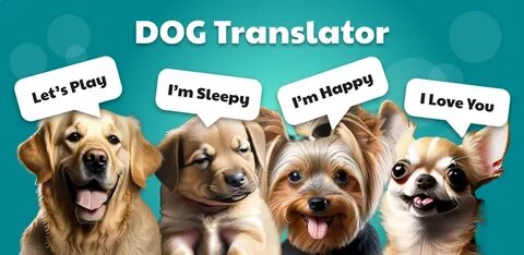 How To Use A Dog Translator App To Understand Your Pet Better