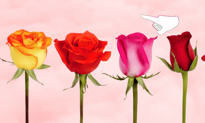 🌹 Choose a Rose to Test Your Love Fortune 💘