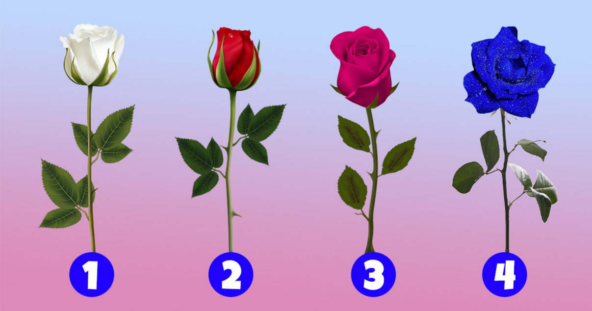 https://img.buzzsight.co/Uploads/imgQ/00857d10d45be7fd2ab32b07cde49eae.png