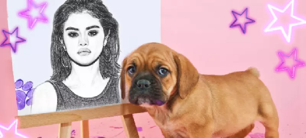 ✏️ Experimente esse foi de desenho feito por cachorro fofinho