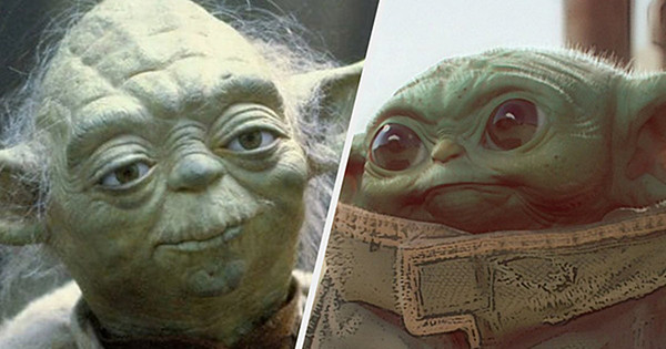 Does Your Personality Match Baby Yoda's Or Just Regular Yoda's?