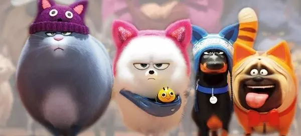 Find out what is your secret Pet