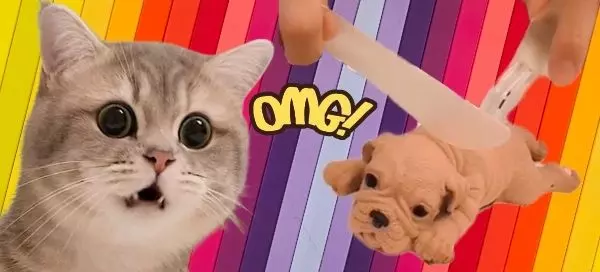 &iexcl;Adivinamos tu esp&iacute;ritu animal solo con tu color favorito!