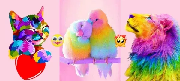 What color flatters your love personality?