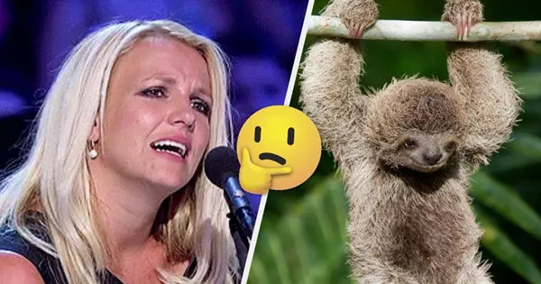 If You Know All These Random Animal Facts, You're An Animal Lover