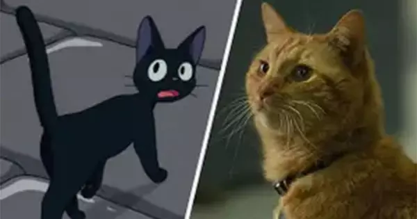 Spend A Day As A Cat And We'll Reveal Which Iconic Cat Would Be Your Sidekick