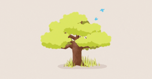 A esta&ccedil;&atilde;o do ano em que nasceste revela algo sobre ti