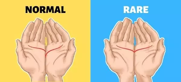 What Does Your Palm Say About Your Love Life?