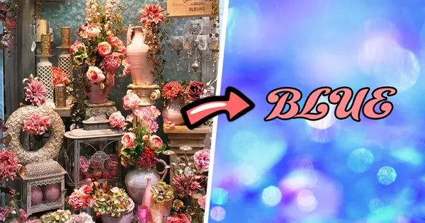 Build A Flower Shop And We'll Accurately Guess Your Favorite Color