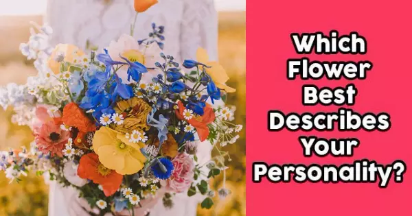 Which Flower Best Describes Your Personality?