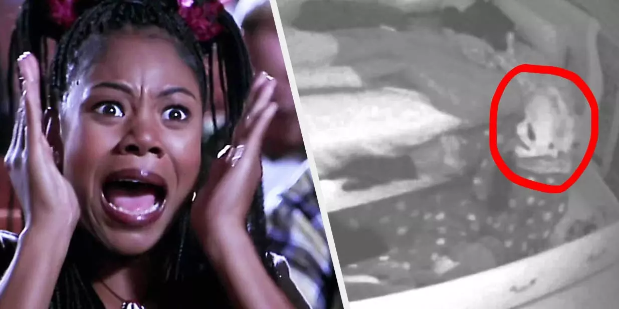 Your Choice In Horror Movies Will Reveal At What Age You Will Die!