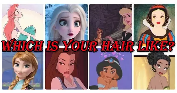 Which Disney Princess Is Your Hair Like?