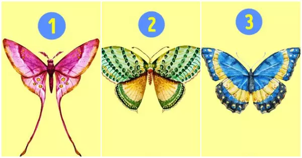 Escolha uma borboleta e descubra qual &eacute; a melhor qualidade na sua vida amorosa