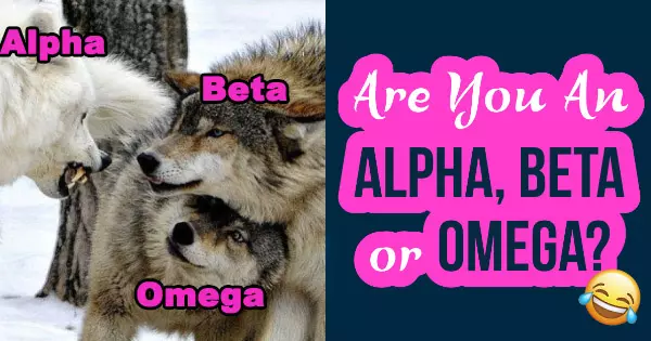 Are You An Alpha, Beta, Or Omega?