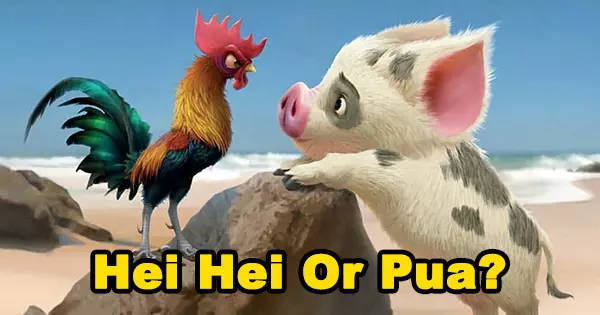 Are You Pua Or Hei Hei From "Moana?" Choose Some Cute Animals And Find Out!