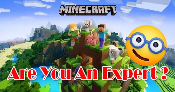 Are You A Minecraft Expert? Try This Quiz!