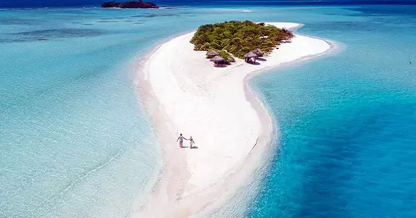 Who Will Be Your Desert Island Celebrity Date?