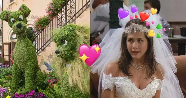 Build Your Dream Garden First And We'll Tell You What Kind of Wedding You'll Have👰♀️