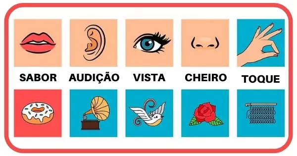 Cientificamente, Um Dos Seus 4 Sentidos &Eacute; Mais Forte Do Que Os Outros - Aqui Est&aacute; O Seu