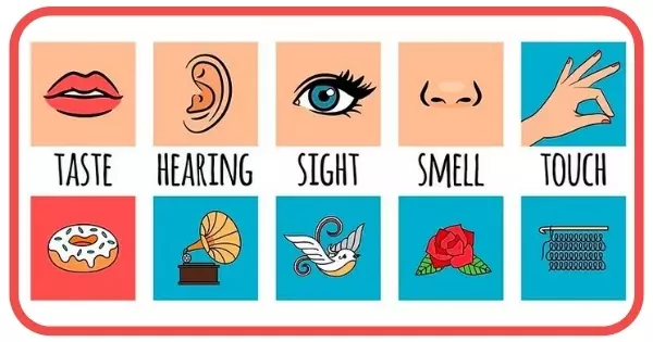 Scientifically, One Of Your 4 Senses Is Supernaturally Stronger Than The Others – Here's Yours