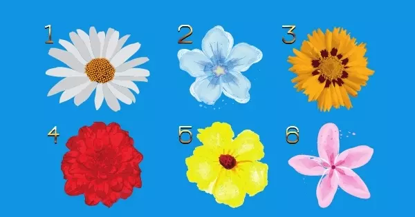 Choose A Flower You Like And Discover Your Most Intimate Secrets