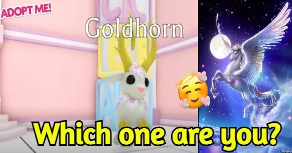 A vivid image with distinct details, showcasing a unique pattern or scene. The colors are rich and the texture appears smooth, capturing the essence of the m...