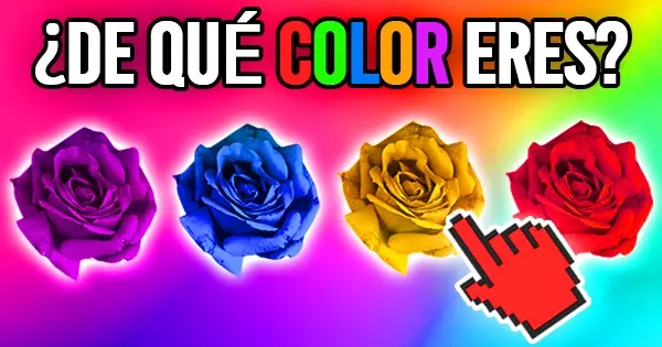 &iquest;Qu&eacute; Color De Rosa Coincidir&aacute; Con Tu Personalidad?