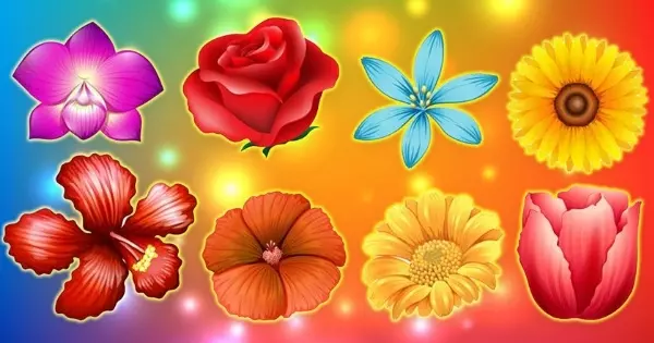 Escolha A Cor Da Flor Que Representa Voc&ecirc; E Veja Quem Voc&ecirc; Realmente &Eacute; Na Vida!
