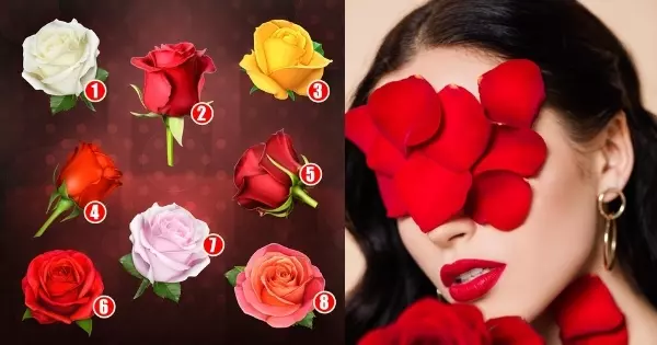 Escolha sua rosa favorita e descubra sua personalidade incomum