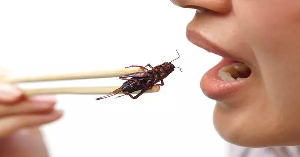 Don't Freak Out Because We Are Going To Reveal How Many Bugs You Have Eaten In Your Childhood