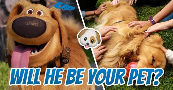 Will Dug Be Your Pet?