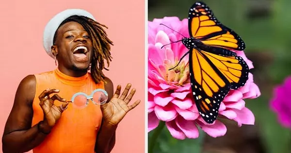What Type Of Flower Are You?