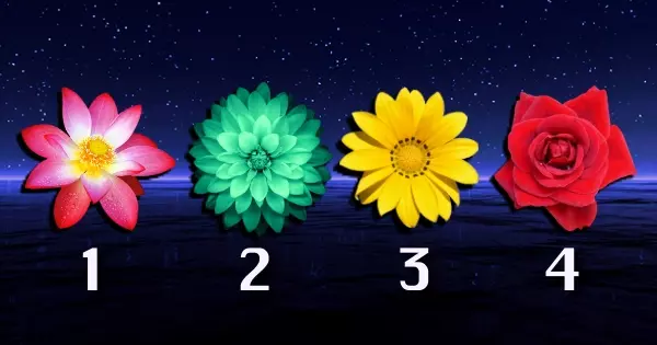Choose Your Birth Flower And Receive A Deep Message From Your Future Self