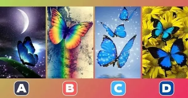 Podemos Adivinhar Com Precis&atilde;o O Seu Status De Relacionamento Pela Borboleta Que Voc&ecirc; Escolher