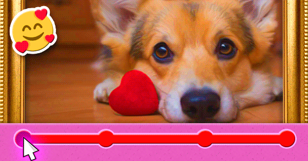 We Can Guess What You Are Looking For In A Romantic Relationship Based On The Animal You Pick