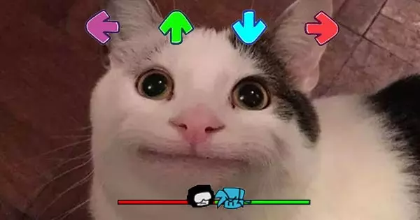 Which Meme Cat Are You If You Were In A Friday Night Funkin' Rap Battle?