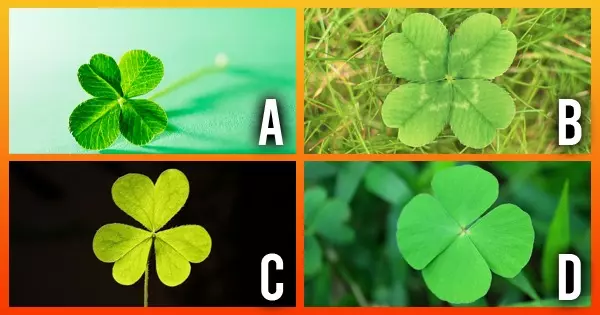 Fa&ccedil;a Este Teste Em 30 Segundos, Voc&ecirc; Receber&aacute; Uma Not&iacute;cia Boa E Inesperada!