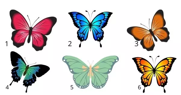 Choose A Butterfly To Reveal Why You Are Single?
