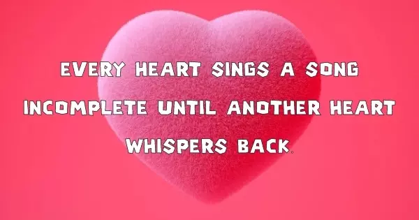 Relationship Quote Quiz | Have You Ever Experienced The Warm Fuzzies?