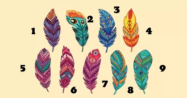 A Boa Fortuna Bateu &Agrave; Sua Porta? Escolha Uma Pena Para Descobrir.