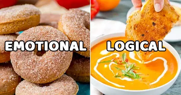 Your Taste In Fall Food Predicts If You're Emotional Or Logical?